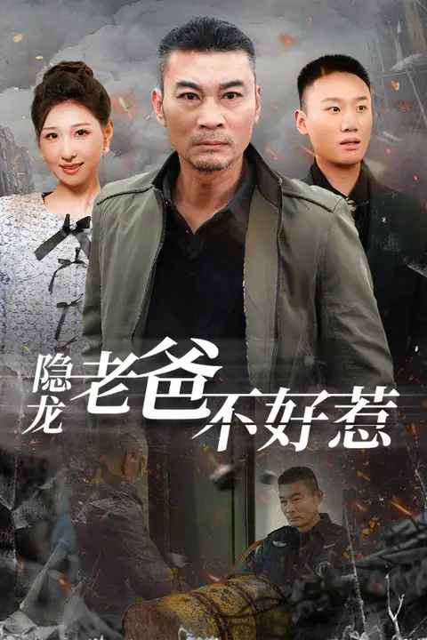 《隐龙老爸不好惹》封面