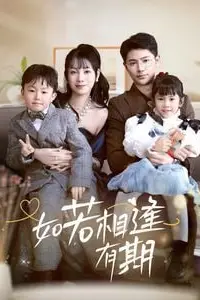 《如若相逢有期》封面