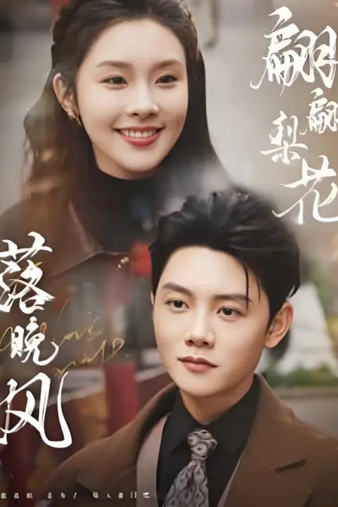 《翩翩梨花落晚风》封面