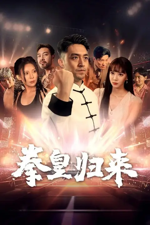 《拳皇归来》封面