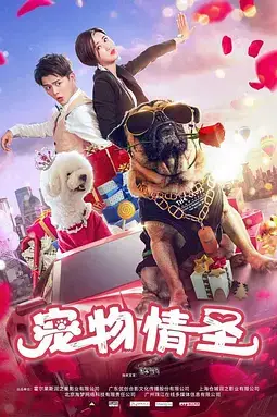 《宠物情圣》封面