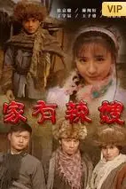 《家有辣嫂》封面