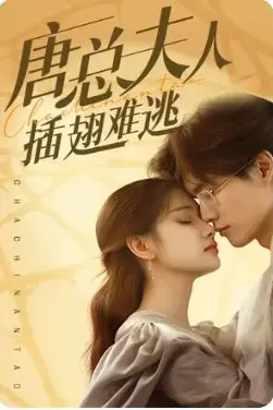 《唐总夫人插翅难逃》封面