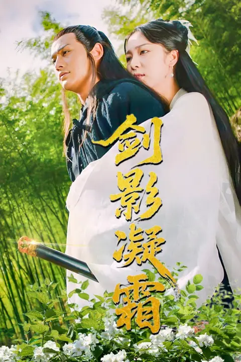 《剑影凝霜》封面