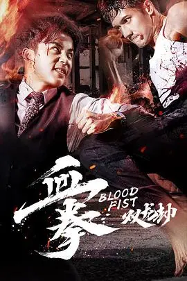 《血拳之双龙劫》封面