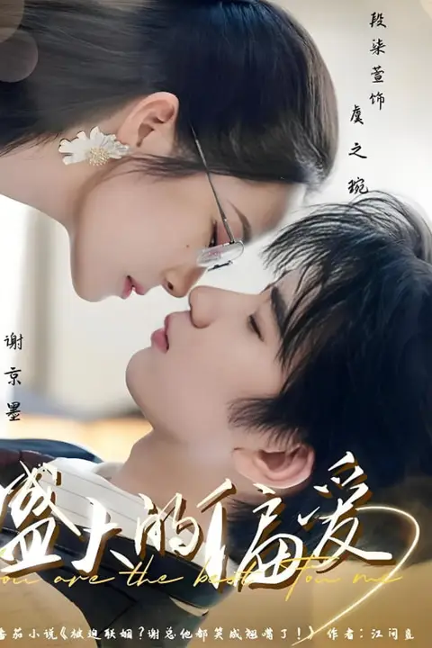 《盛大的偏爱》封面
