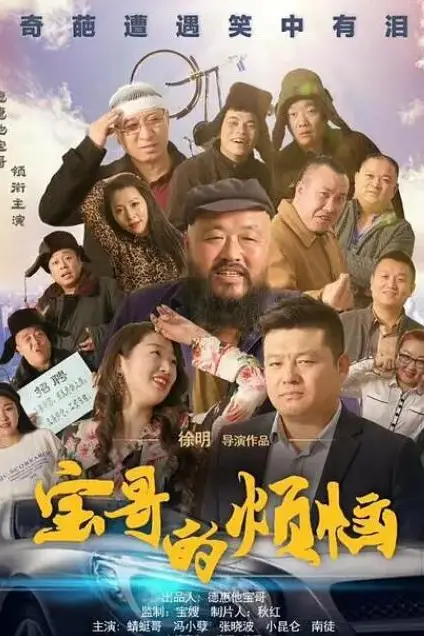 《宝哥的烦恼》封面
