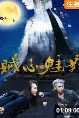 《贼心魅影》封面