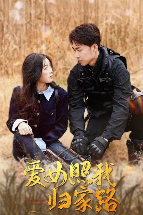 《爱女照我归家路》封面