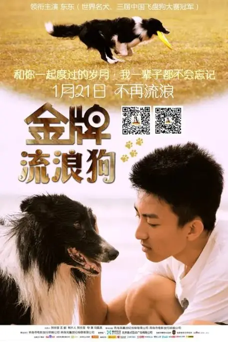 《金牌流浪狗》封面