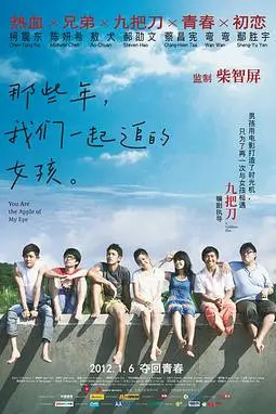 《那些年,我们一起追的女孩》封面