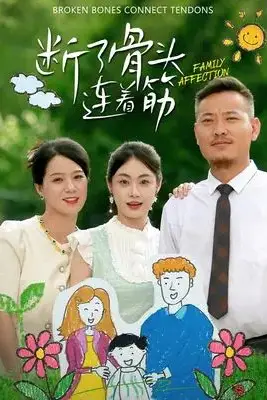 《断了骨头连着筋》封面