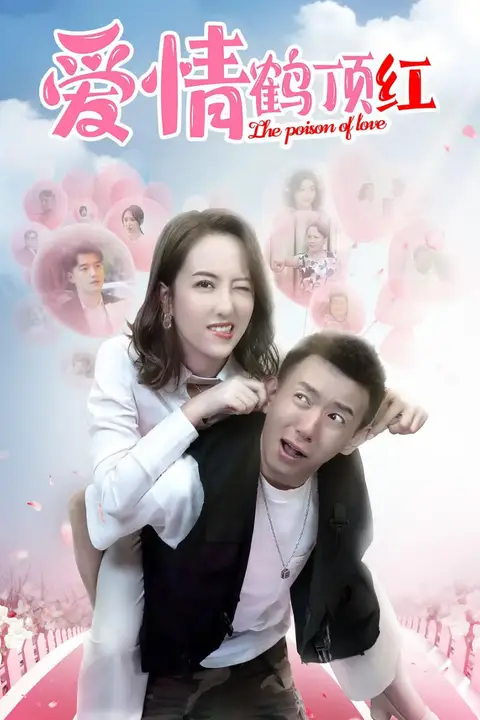 《爱情鹤顶红》封面