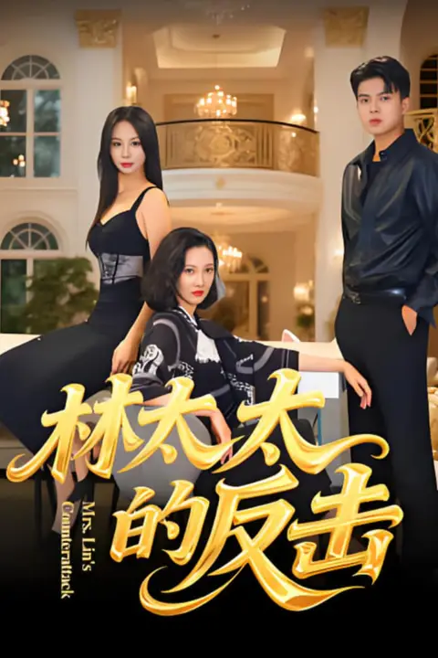 《林太太的反击》封面