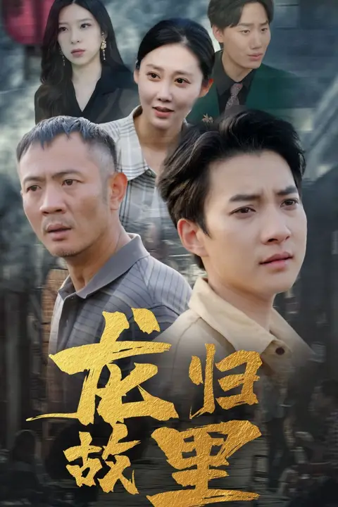《龙归故里》封面