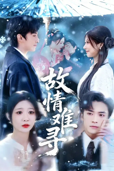 《故情难寻》封面