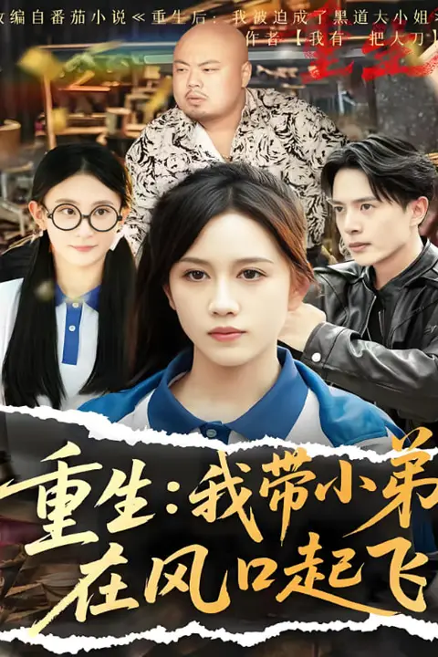 《重生我带小弟在风口起飞》封面