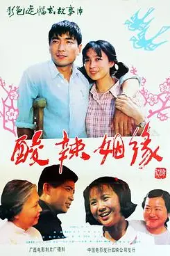 《酸辣姻缘》封面