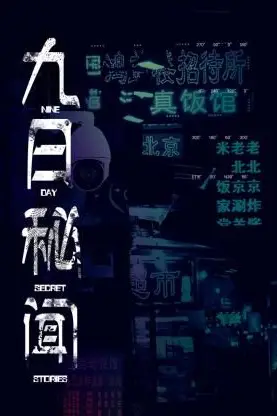 《九日秘闻》封面