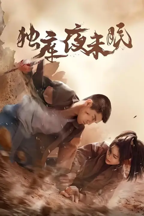 《独库夜未眠》封面