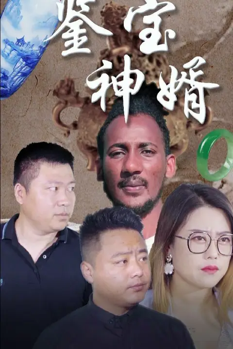 《鉴宝神婿》封面