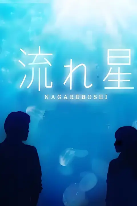 《流星》封面