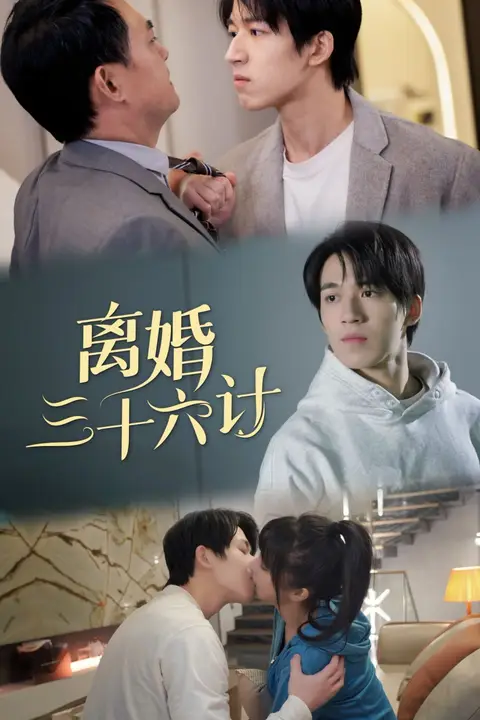 《离婚三十六计》封面