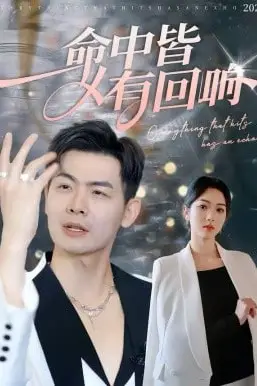 《命中皆有回响》封面