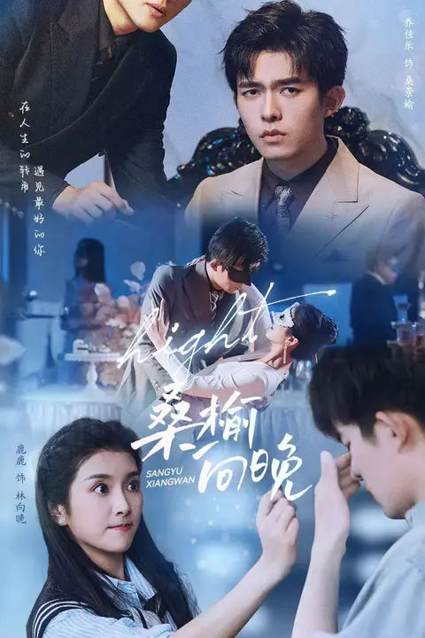 《桑榆向晚》封面