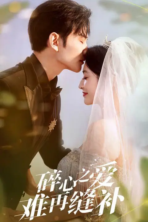《碎心之爱难再逢补》封面