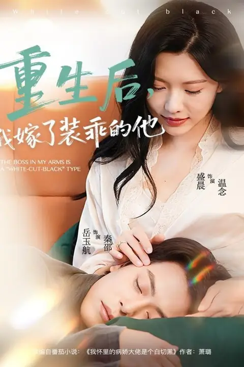 《重生后,我嫁了装乖的他》封面