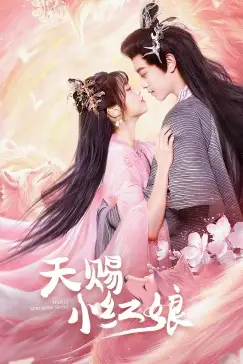 《天赐小红娘》封面