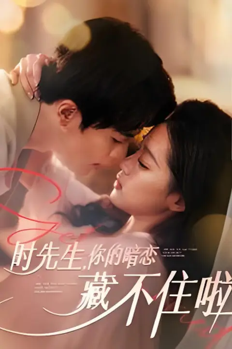 《时先生你的暗恋藏不住啦》封面