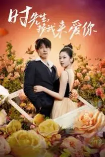 《时先生,换我来爱你》封面