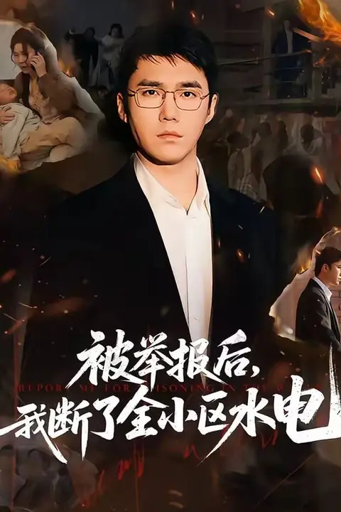 《被举报后,我断了全小区水电》封面