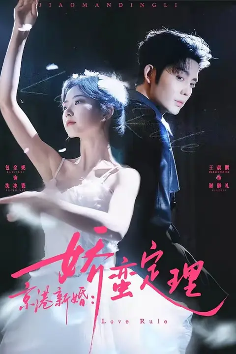 《京港新婚：娇蛮定理》封面