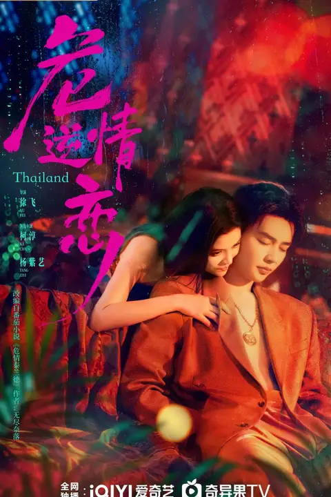 《危情逆恋》封面