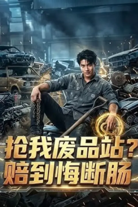 《抢我废品站赔到悔断肠》封面