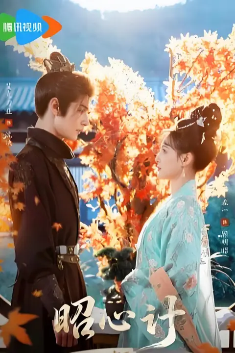 《昭心计》封面