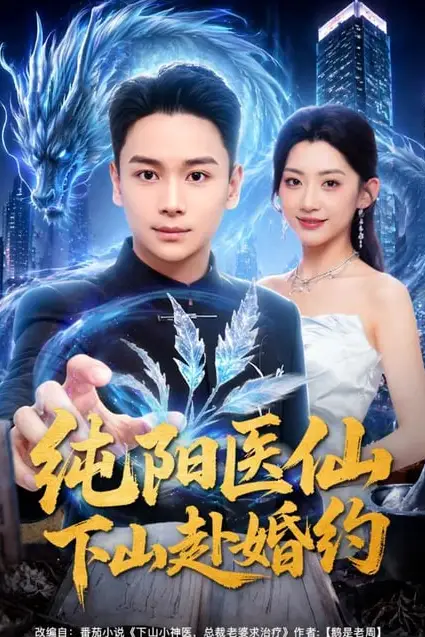 《纯阳医仙下山赴婚约》封面
