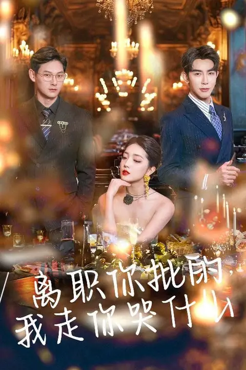 《离职你批的我走你哭什么》封面