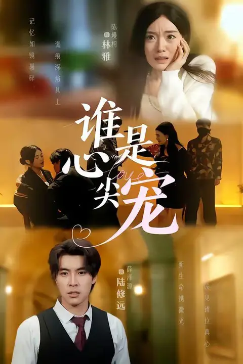 《谁是心尖宠》封面