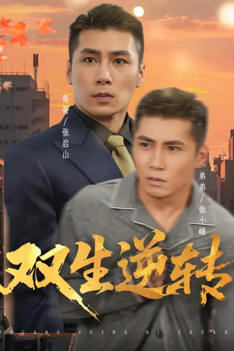 《双生逆转》封面