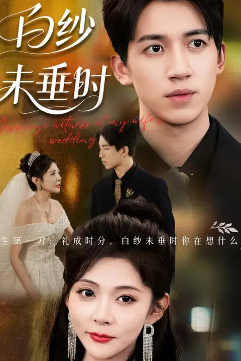 《老婆婚礼我当证婚人(白纱未垂时)》封面