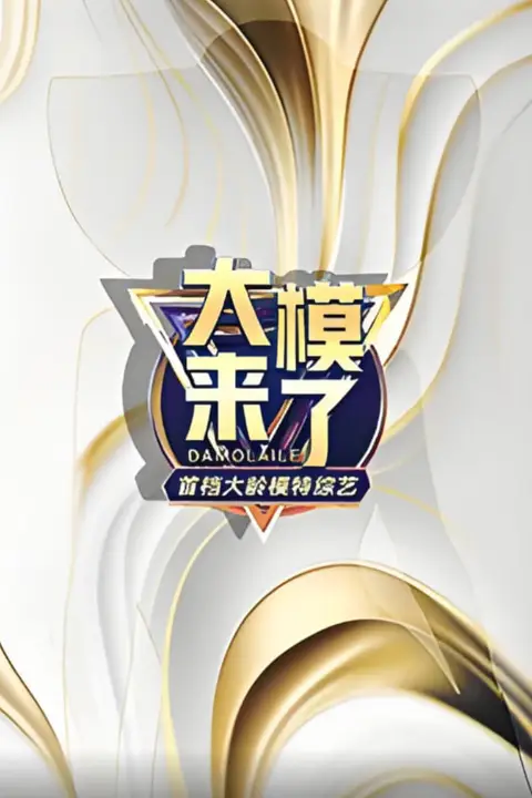 《大模来了》封面