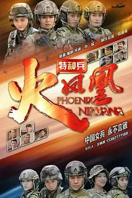 《特种兵之火凤凰》封面