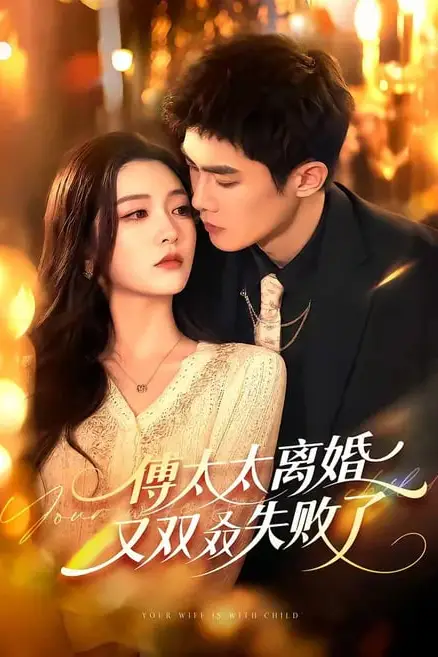 《傅太太离婚又双叒失败了》封面