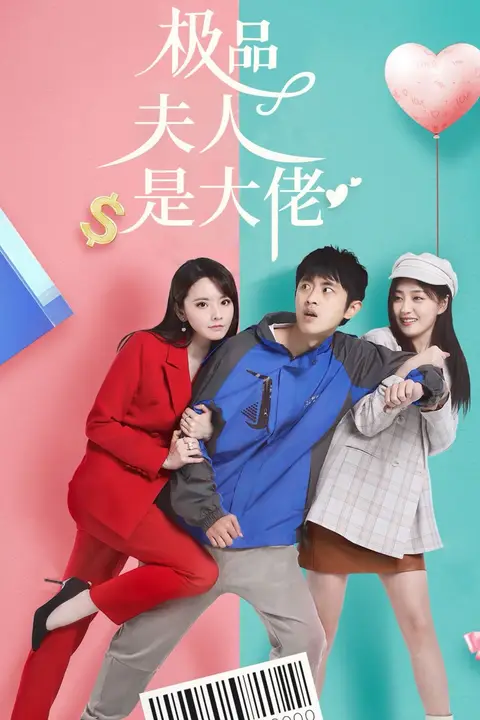 《极品夫人是大佬》封面