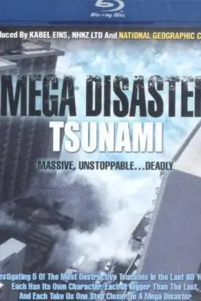 《末日的地球：世纪海啸》封面