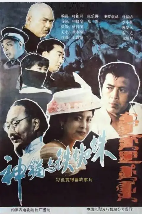 《神猫与铁蜘蛛》封面